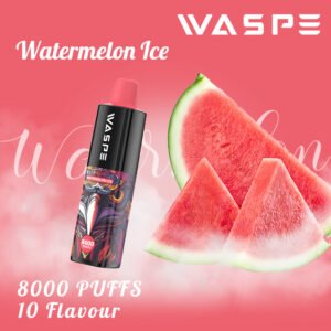 WASPE 8000 PUFFS 0% 2% 3% 5% Nicotina Vape desechable al por mayor - HelpVape - 13