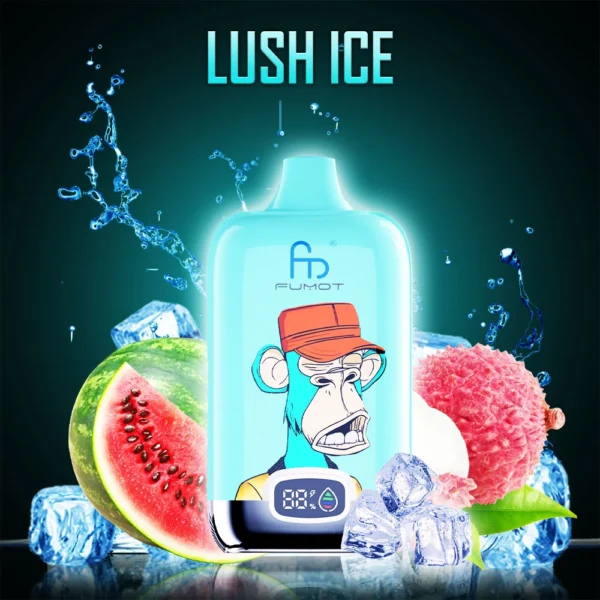 Randm Digital Box 12000 Puffs 0% 2% 3% 5% Wyświetlacz LED o niskiej zawartości nikotyny Możliwość ładowania zbiorczego Kup jednorazowy Vape hurtowo - HelpVape - 11