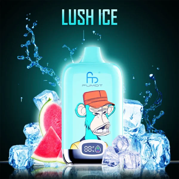 Randm Digital Box 12000 Puffs 0% 2% 3% 5% Wyświetlacz LED o niskiej zawartości nikotyny Akumulator luzem Kup jednorazowy Vape hurtowo - HelpVape - 14
